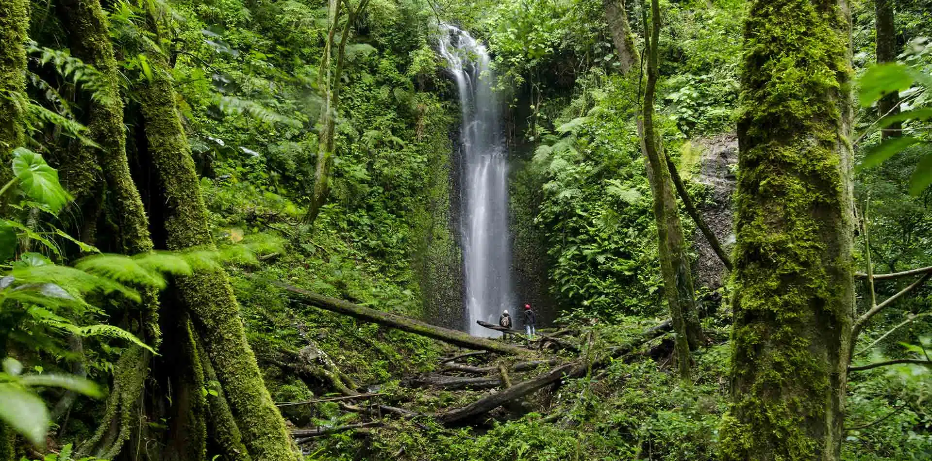 Waterfall in La Amistad, Panama