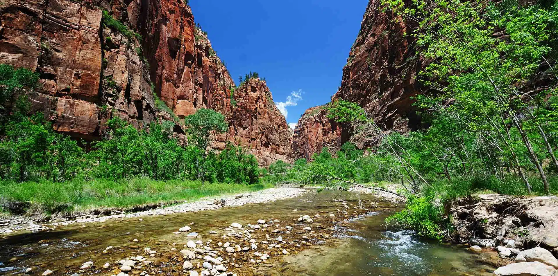 Stream in Bryce Canyon