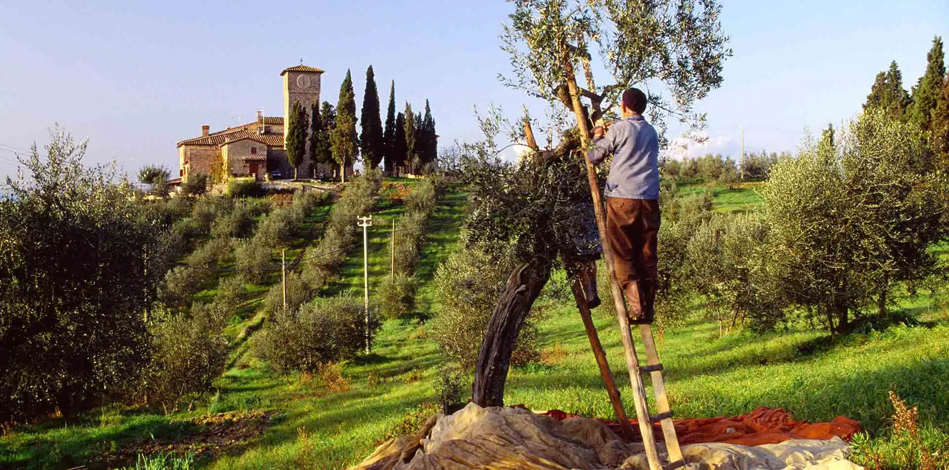 Man on ladder in Italy