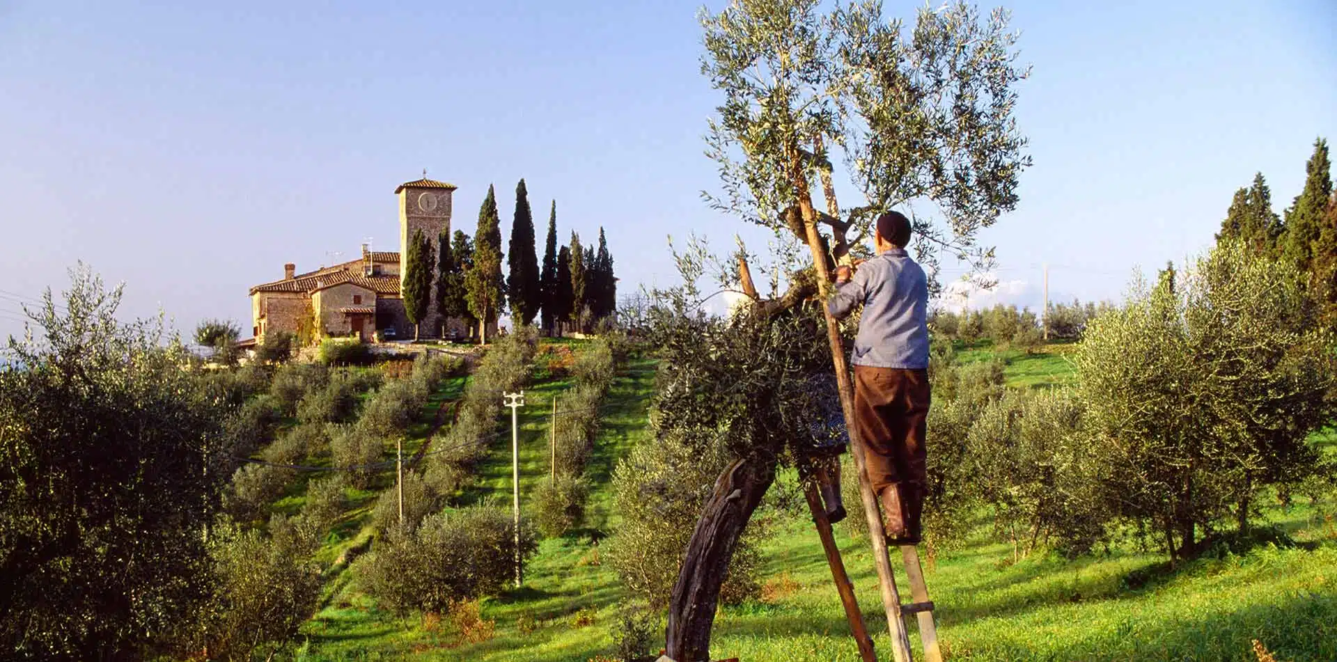 Man on a Ladder in Italy