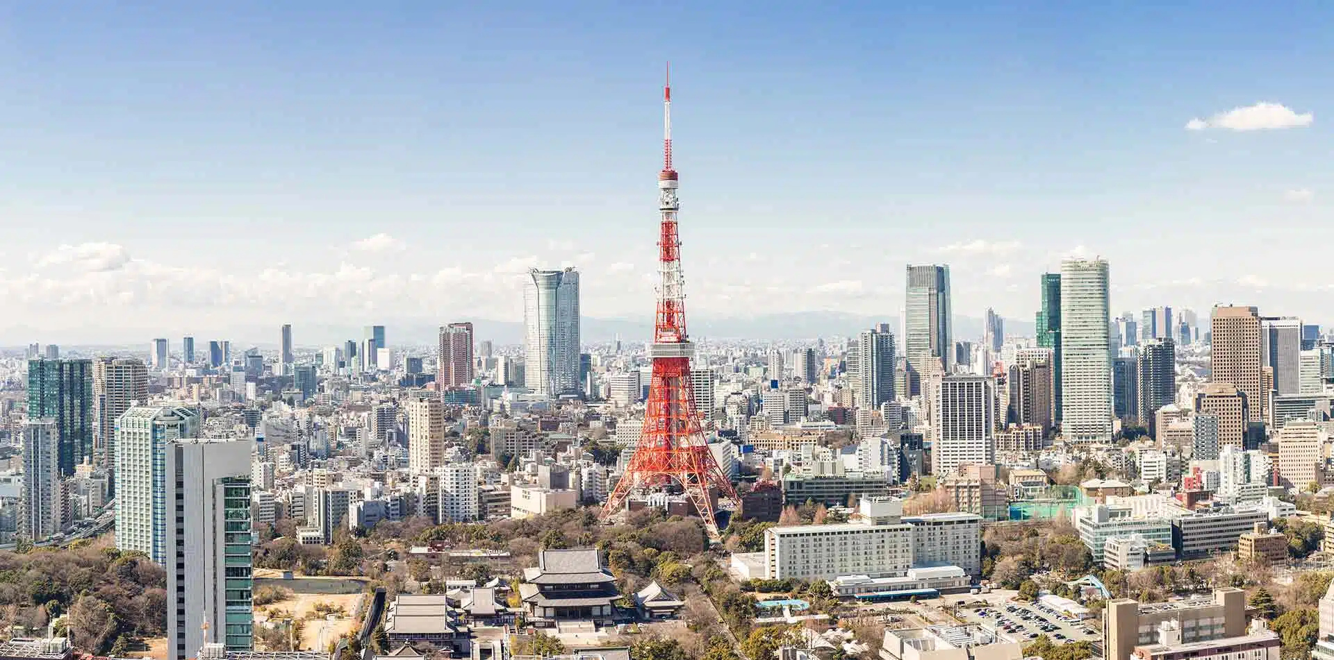 Tokyo Skyline, Japan