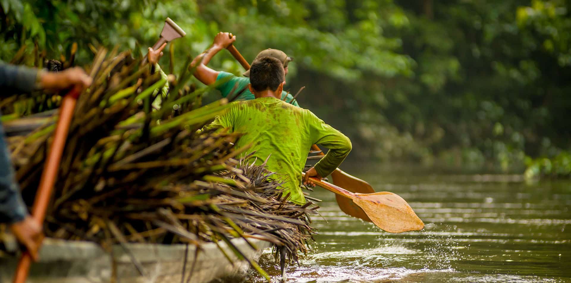 Canoe in Yasuni National Park in Ecuador