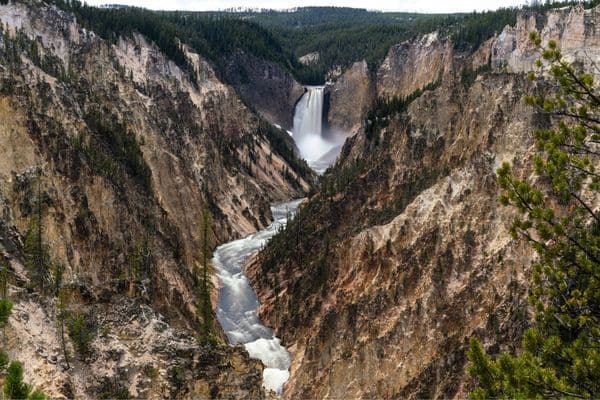 Artist Point overlooks Yellowstone's Grand Canyon and Lower Falls in a picture perfect scene