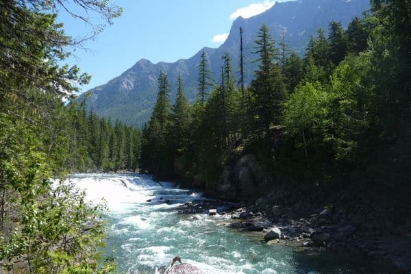 Swift Creek Trail in Whitefish, Montana