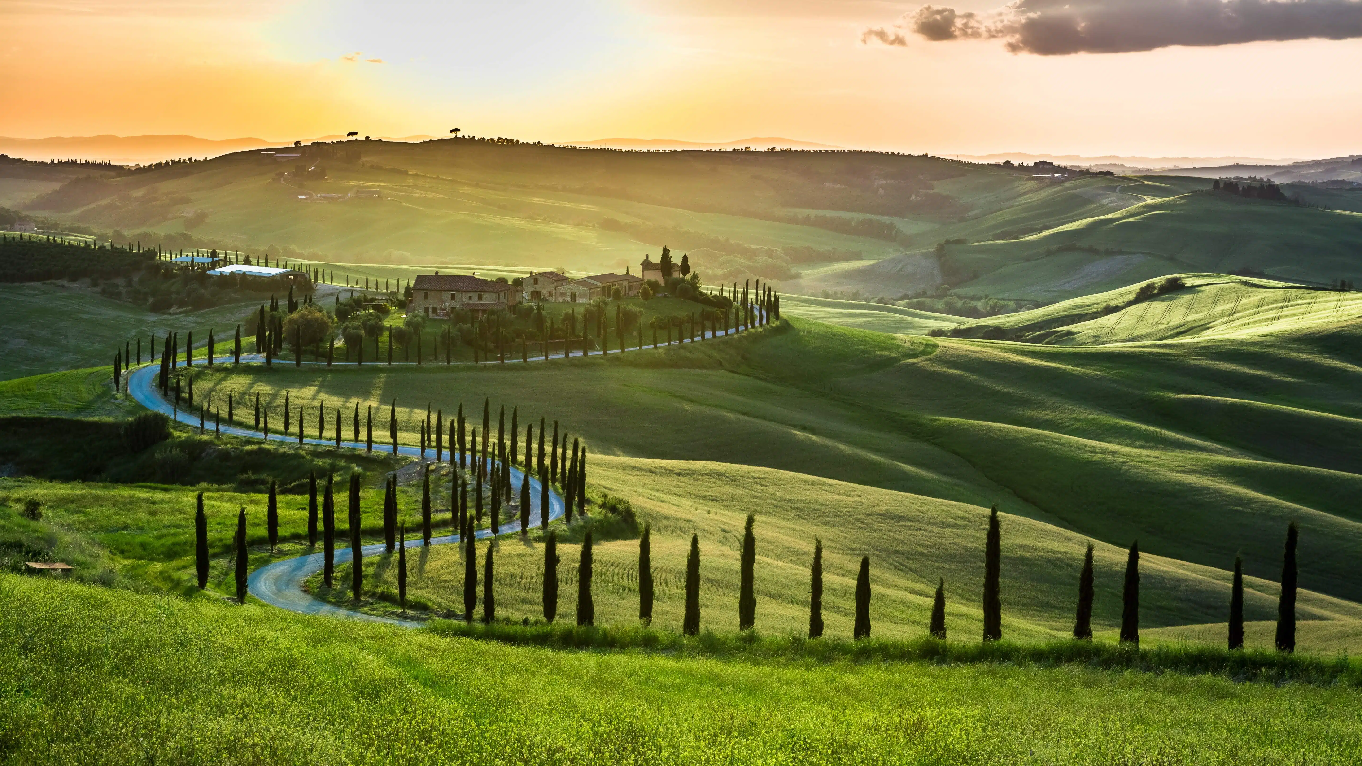 Rolling hills and cypress trees in Tuscany