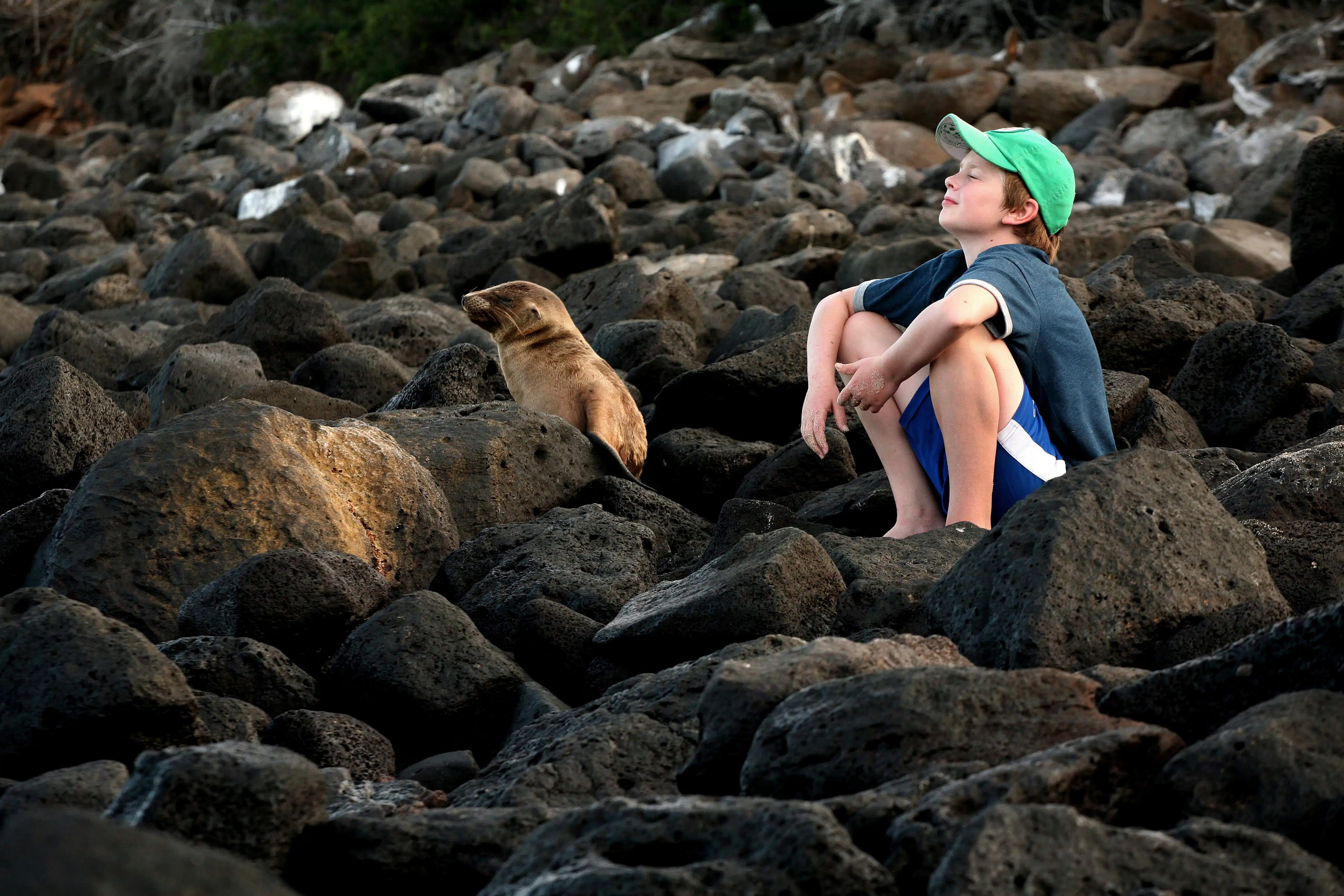 Boy sits on rocks with baby sea lion
