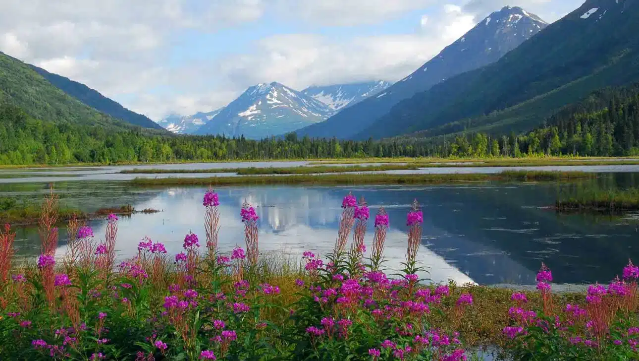 Beyond the Shore Exploring the Best of Alaska's Wilderness Classic
