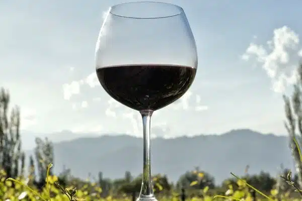 A glass of Chile's Cabernet Sauvignon
