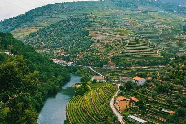 The scenic Douro Valley with its many lovely vineyards