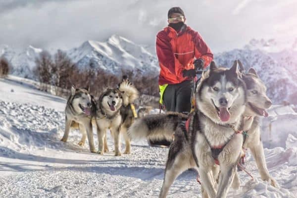 Enjoying a ride on the Iditarod Trail in Alaska