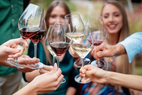 Travelers clinking wine glasses in celebration at a vineyard