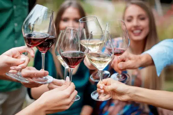 Many glasses of Chilean Wine, showing the diverse varietals