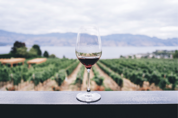 A glass of Port wine sitting on a banister in front of Douro Valley vineyards