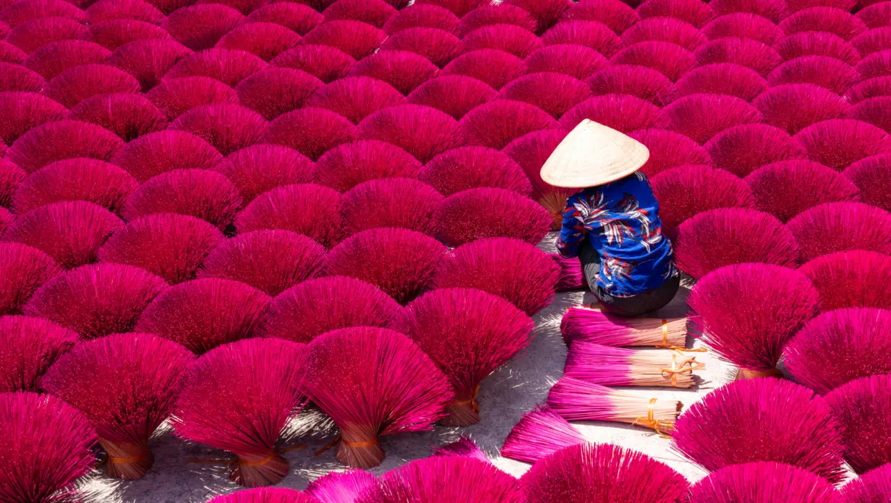 Vietnamese Woman Drying Vietnam Incense Sticks