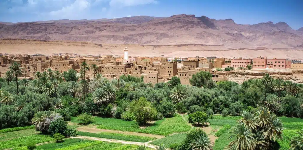 Lush green gardens in Morocco in front of a city, with the Atlas Mountains in the background