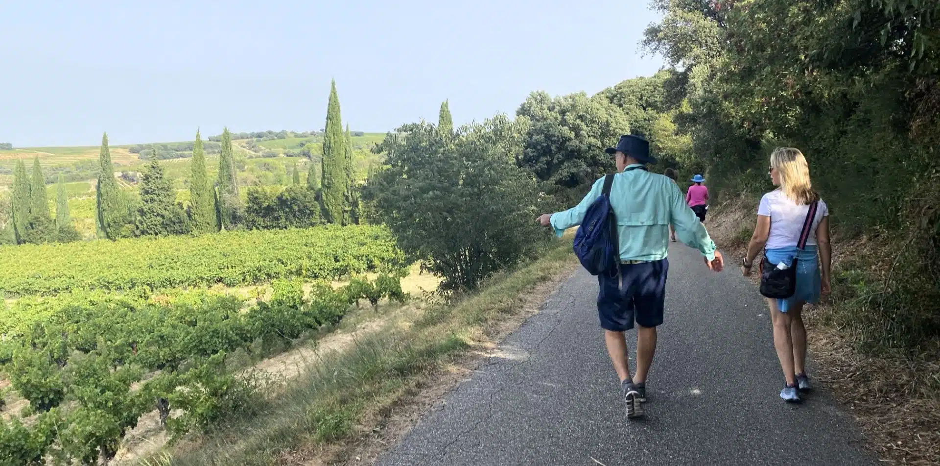 3 - Sip and stroll your way through the vineyards of Châteauneuf-du-Pape