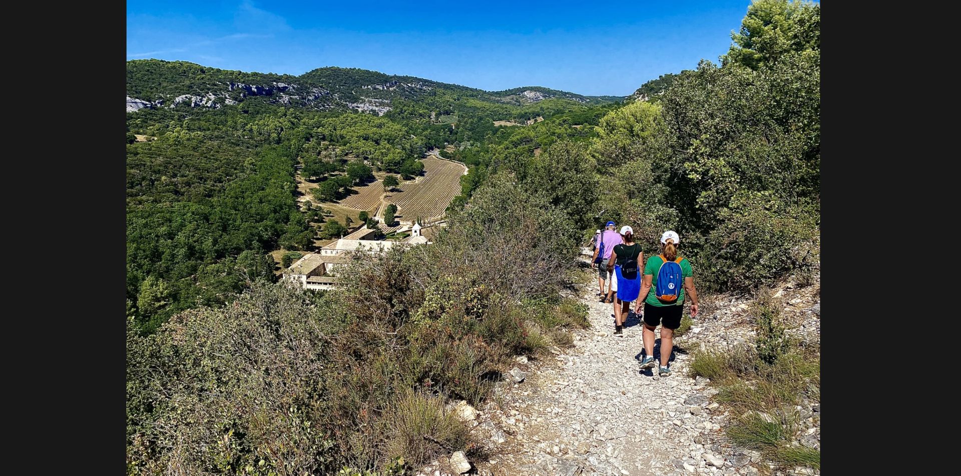 5 - Soak in the scenic views on your way to Sénanque Abbey,