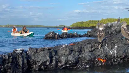 Classic Journeys - Galapagos - Isabela Island - Los Tintereros - kayaking to see blue footed boobies