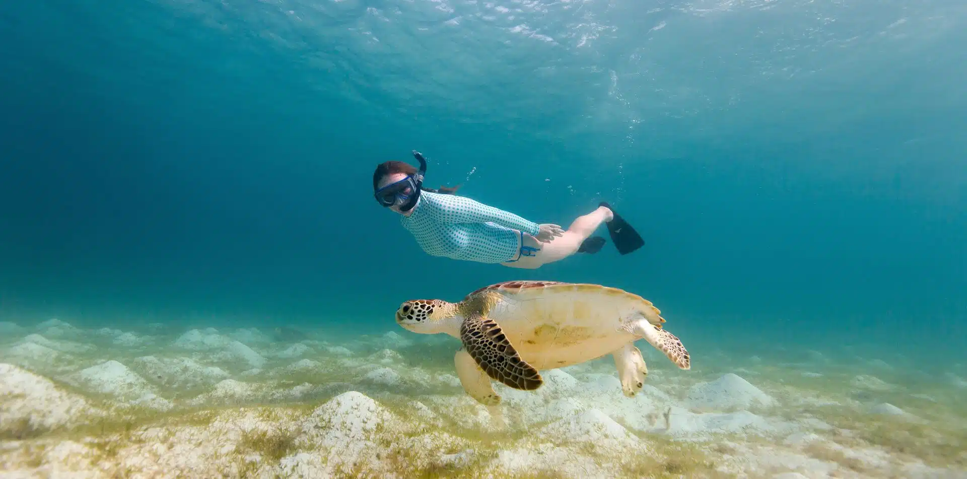 Snorkel with the marine life in the Galapagos