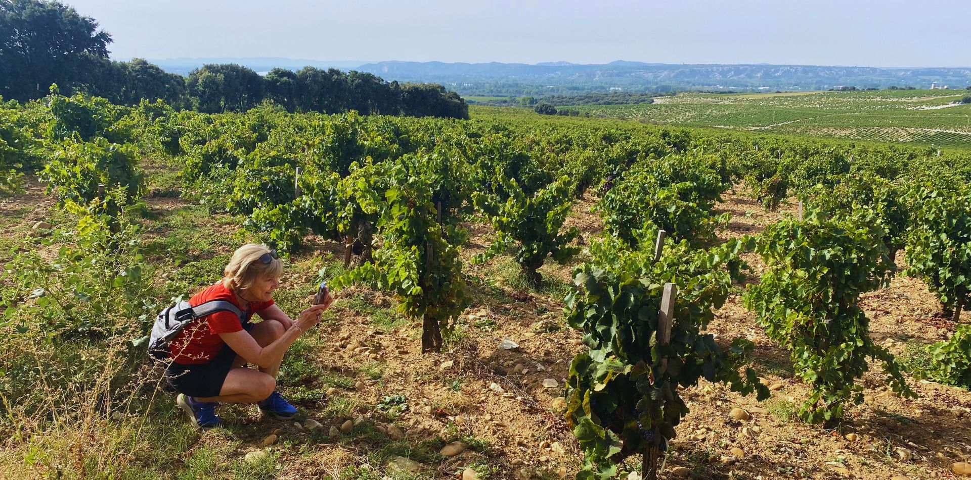 3 - Stroll through the vineyards of Châteauneuf-du-Pape on your way to a wine tasting