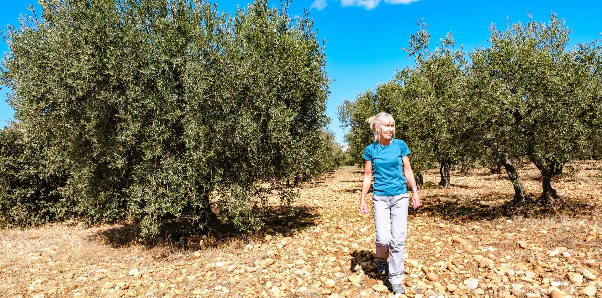 4 - Walk through olive groves on your way to taste award-winning olive oil