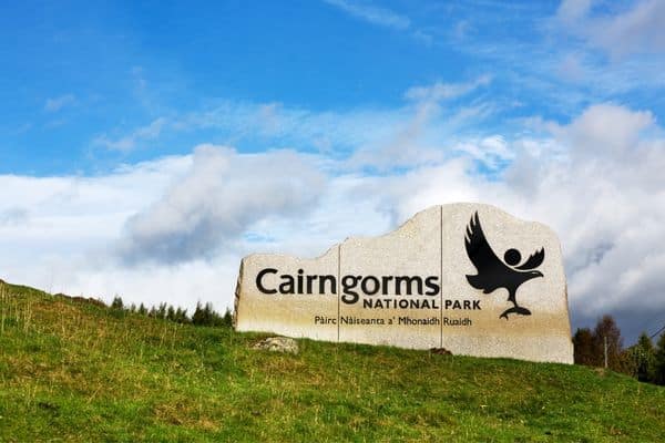 Spot wildlife on walks in Cairngorms National Park in Scotland