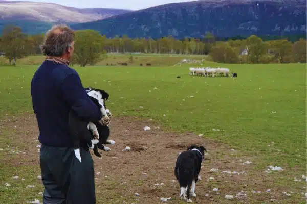 Explore Scotland on foot at eye level