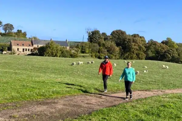 Explore Scotland on foot at eye level