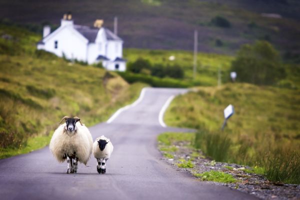 Explore Scotland with Classic Journeys on foot at eye level