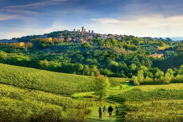 Stroll with us in Tuscany's beautiful Chianti wine region countryside