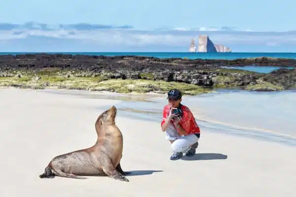 Young traveler and sea lion on the beach in the Galapagos