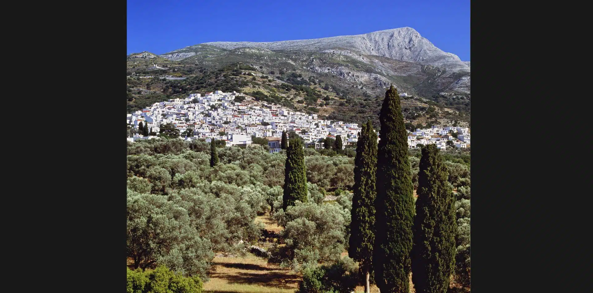 Walk through the olive groves in Naxos, Greece
