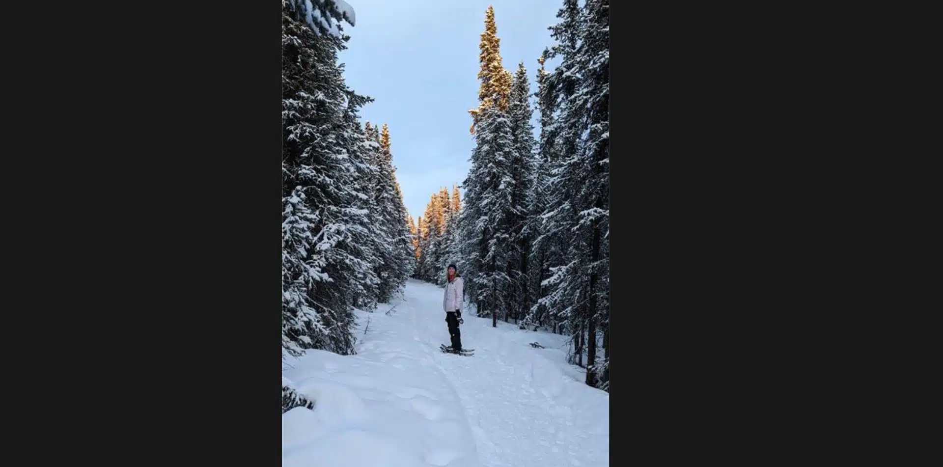 Snowshoe through the forest in Alaska