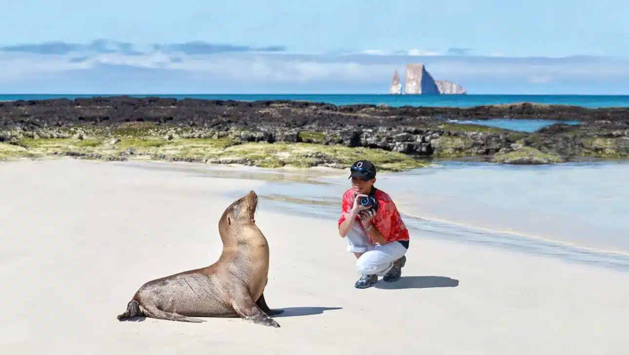 Traveler taking a close picture of a seal on the Galapagos Island Beaches