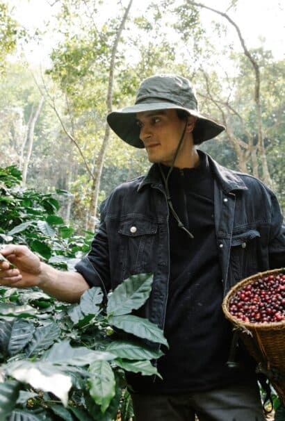 Galapagos Coffee Bean Farm