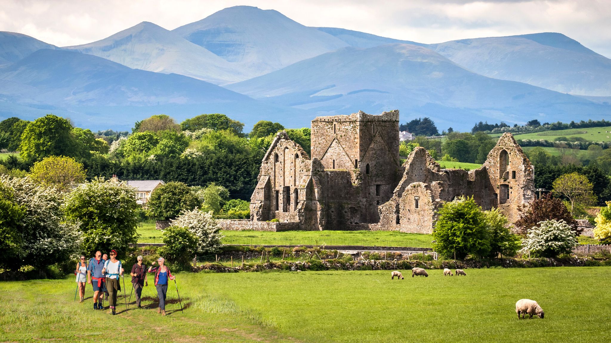 Discover Ireland Through Guided Tours and Celtic Heritage Journeys