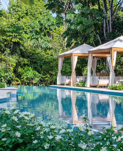 Botanika Osa Peninsula Pool, Costa Rica