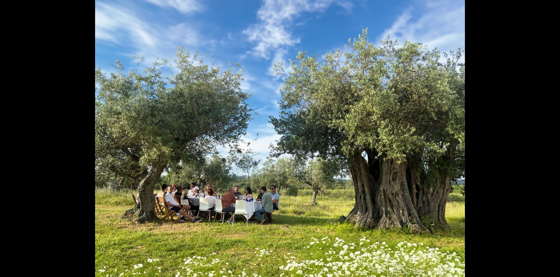 Food is a foolproof way into the hearts, homes and history of Portugal. Eat like (and with) the locals on gourmet picnics and in coveted local restaurants, as our meals offer you opportunities to explore native food traditions.