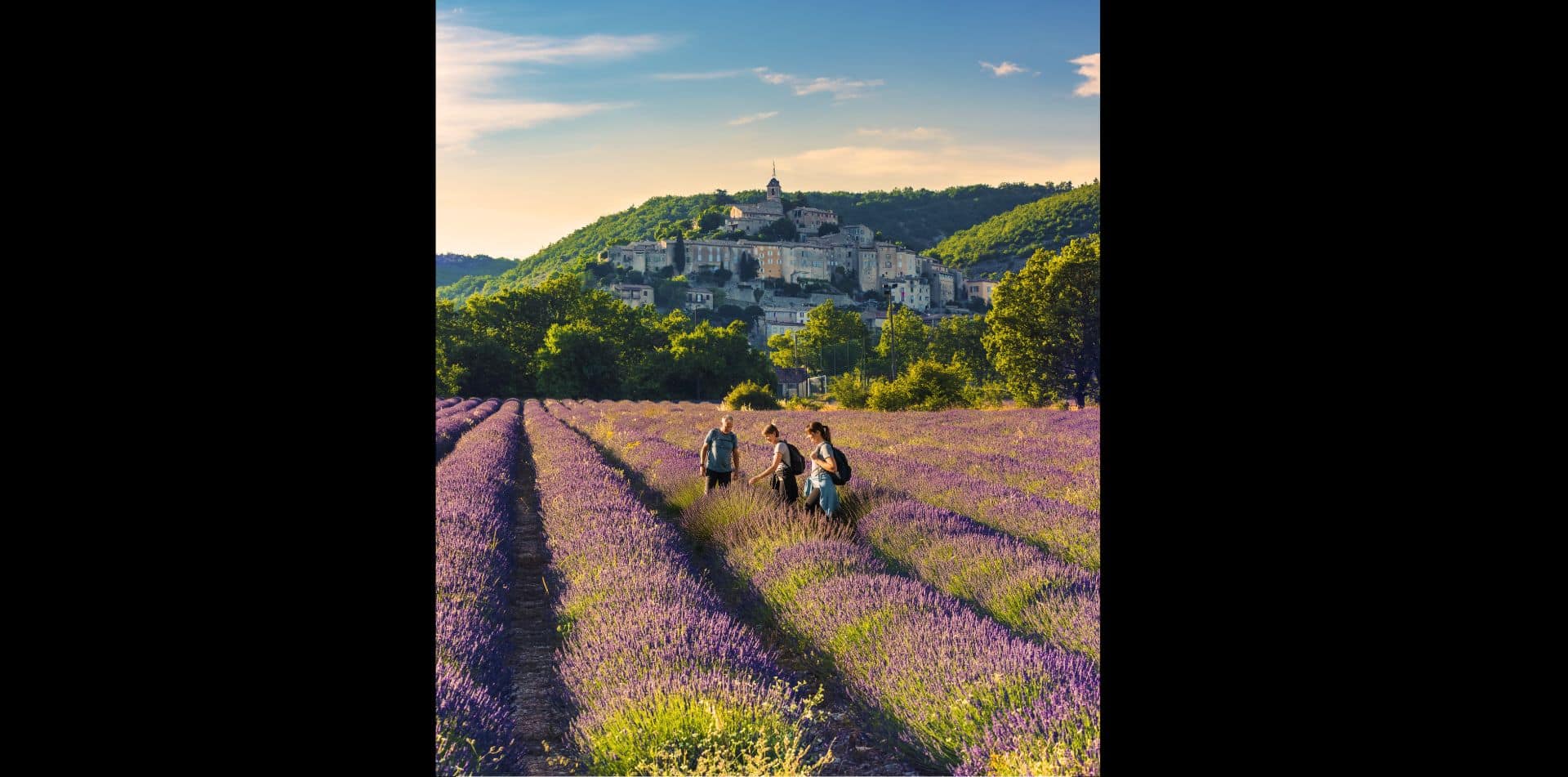 Experience Provence on foot and at eye level. Each day, join your guide on the most cinematic footpaths in the region.