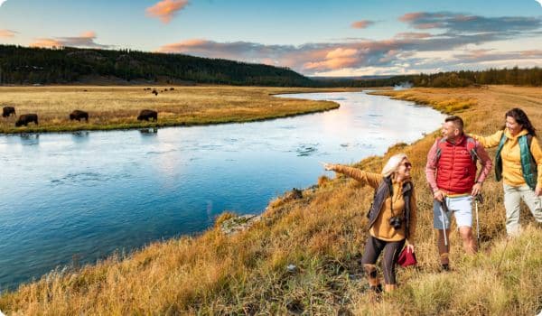 Group pointing at wildlife on a walking tour