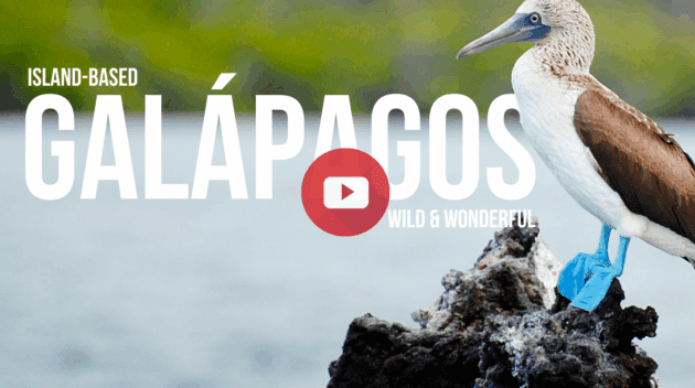 Galapagos, video, classic journeys, guest reviews