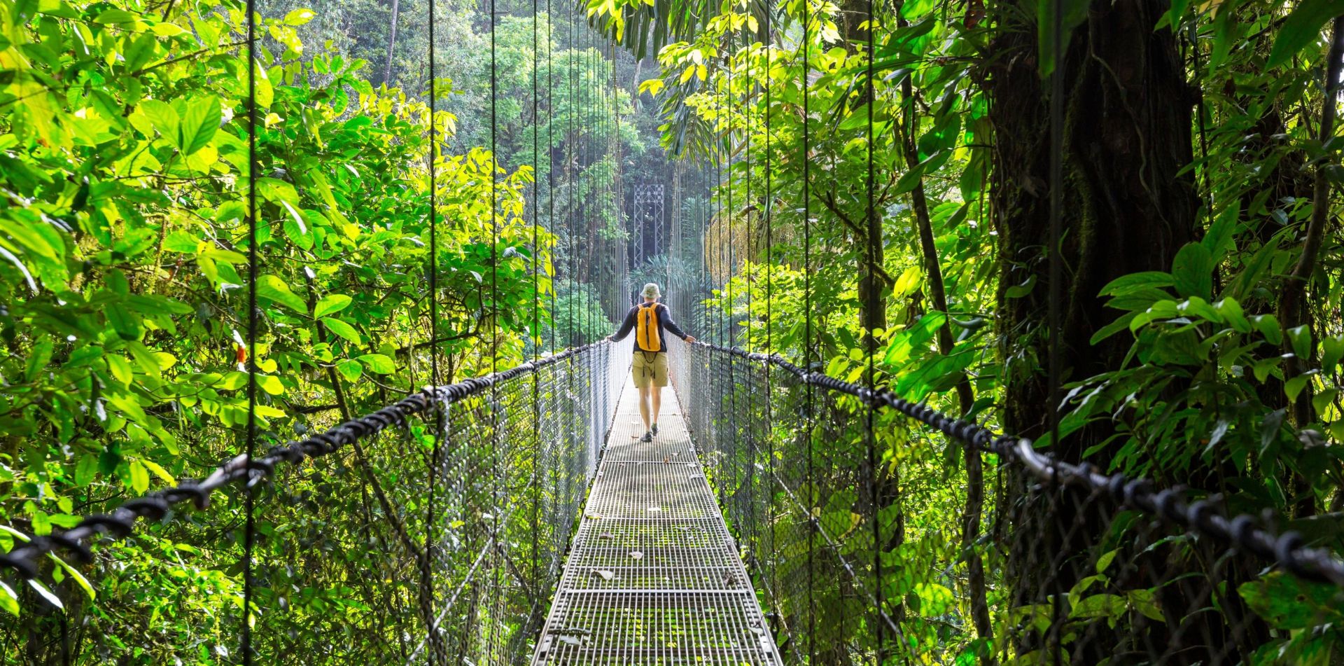 Get the chance to walk along a scenic hanging bridge to marvel at the views all around you.