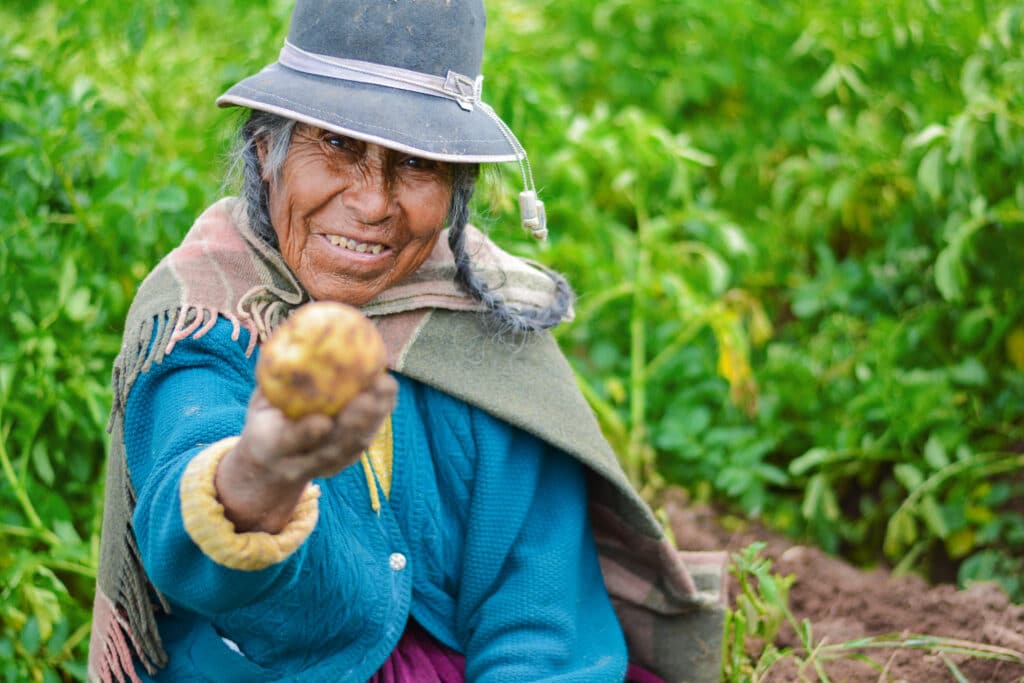 Peruvian woman holding a freshly harvested potato in the countryside

