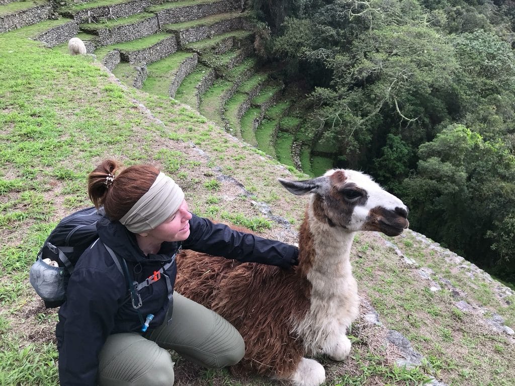 Female traveler in Peru at ancient ruins with alpaca