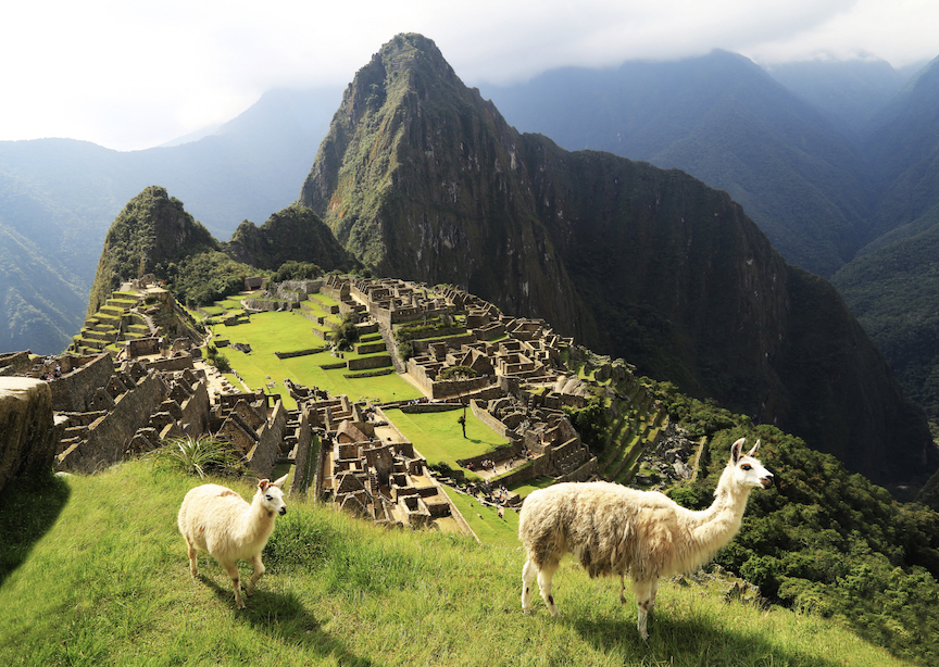 Peru Inca Trail Machu Picchu Alpacas