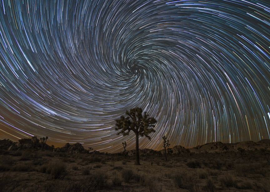 Joshua Tree California Night Stars