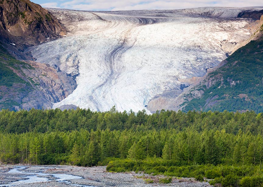 USA Alaska Kenai glacier forest fjord