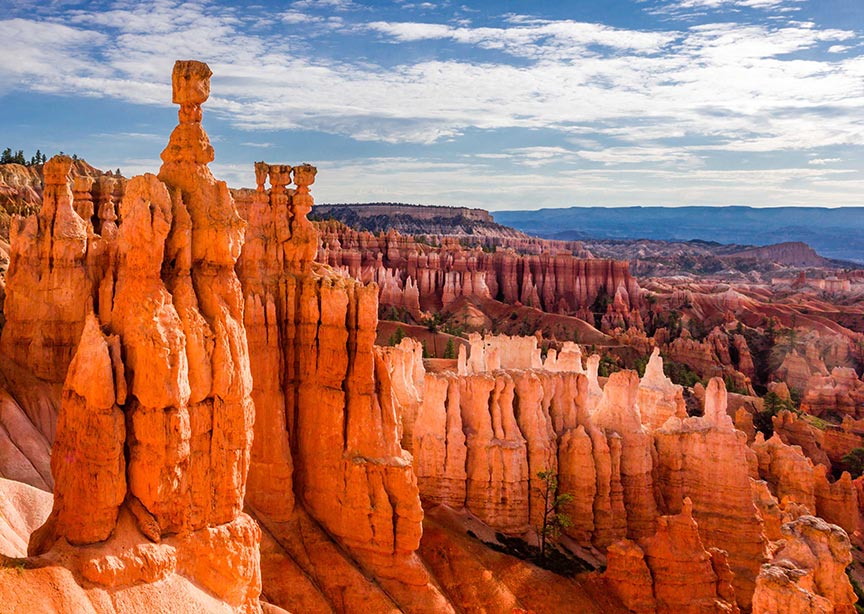 USA Utah Bryce canyon national park hoodoos