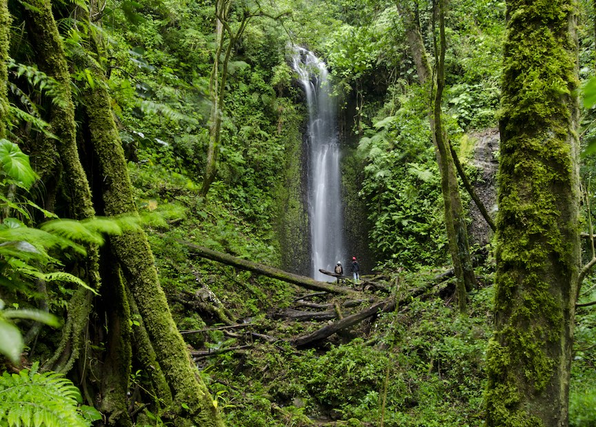 Panama rainforest waterfall