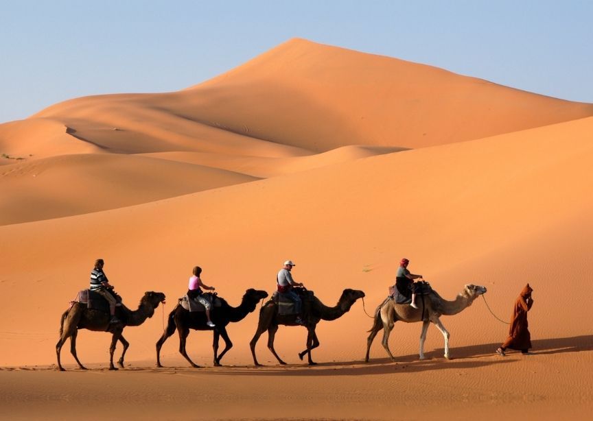 Morocco Sahara Desert Blue Sky 4 Camel Train
